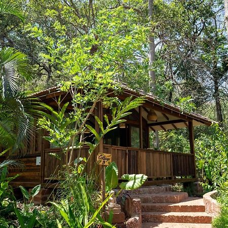 Mojigao - Eco Resort Assagao Exterior photo