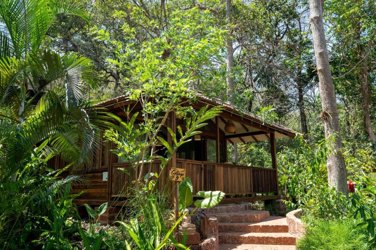 Mojigao - Eco Resort Assagao Exterior photo